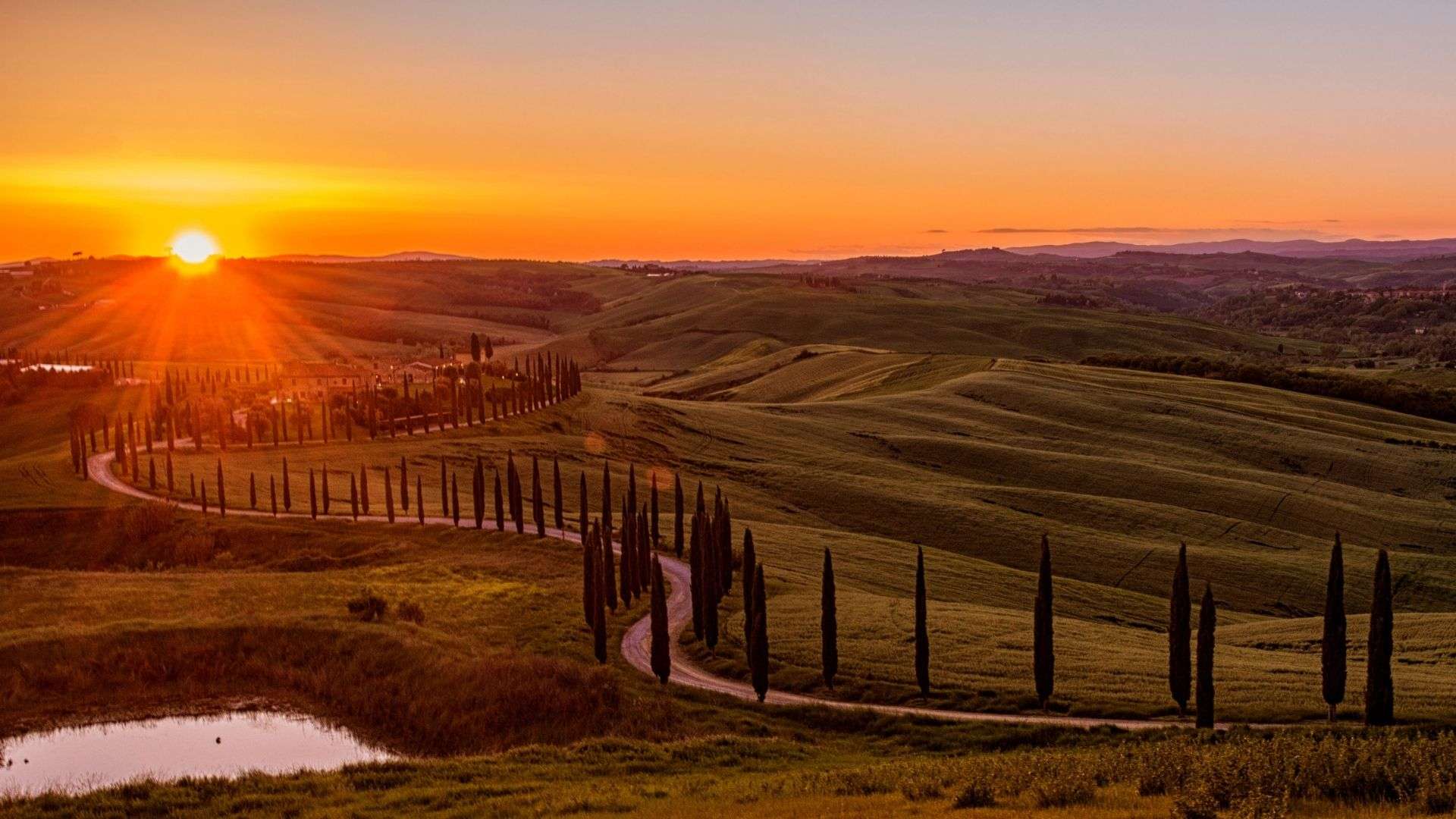 Tramonto sulle colline della Val d'Orcia con la strada fiancheggiata dai cipressi