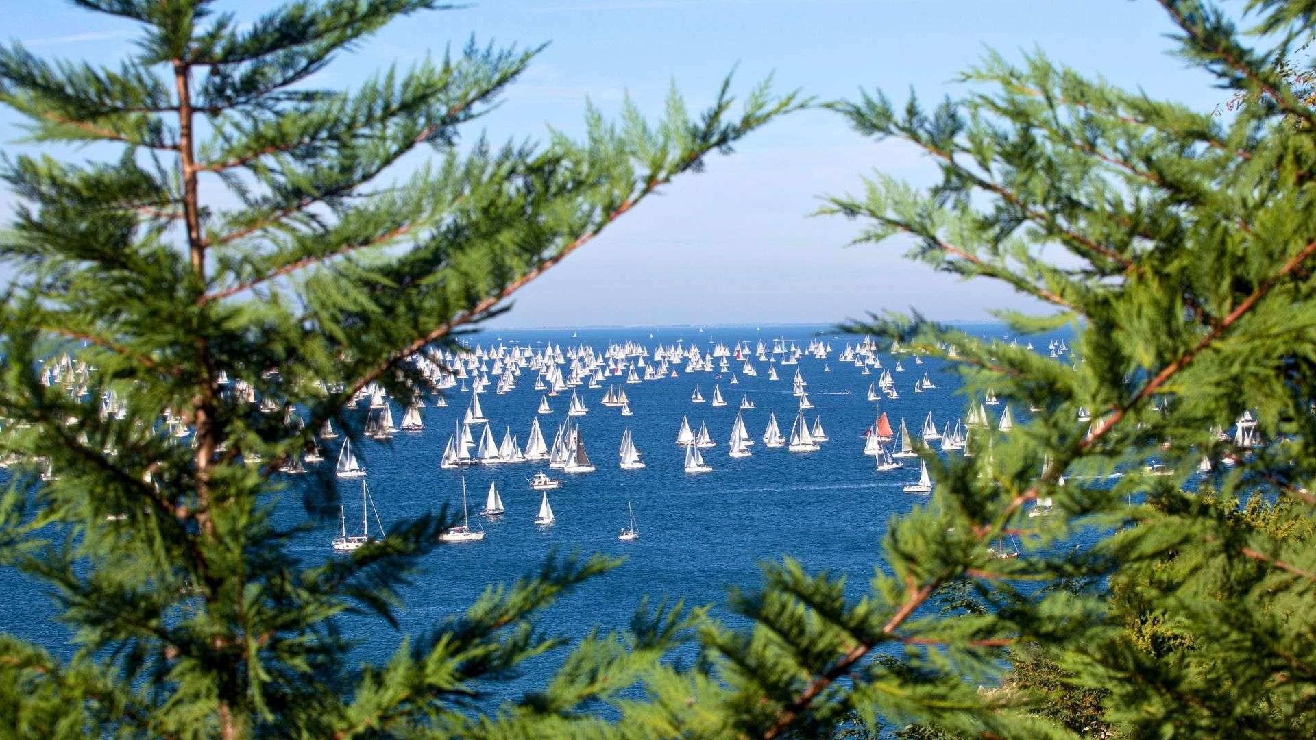 Barcolana Trieste